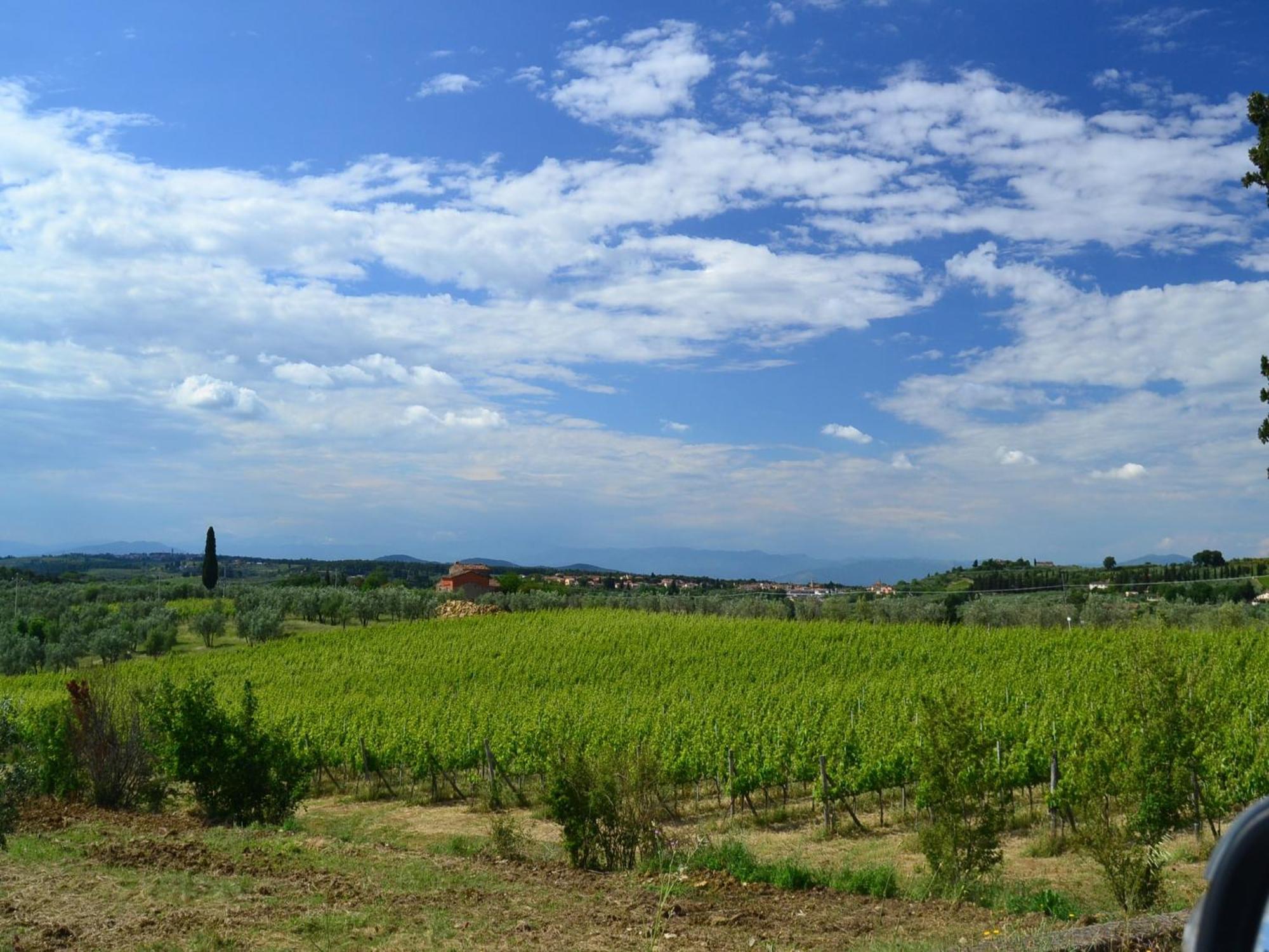 Lovely Holiday Home In Montefiridolfi With Hill View Exterior photo