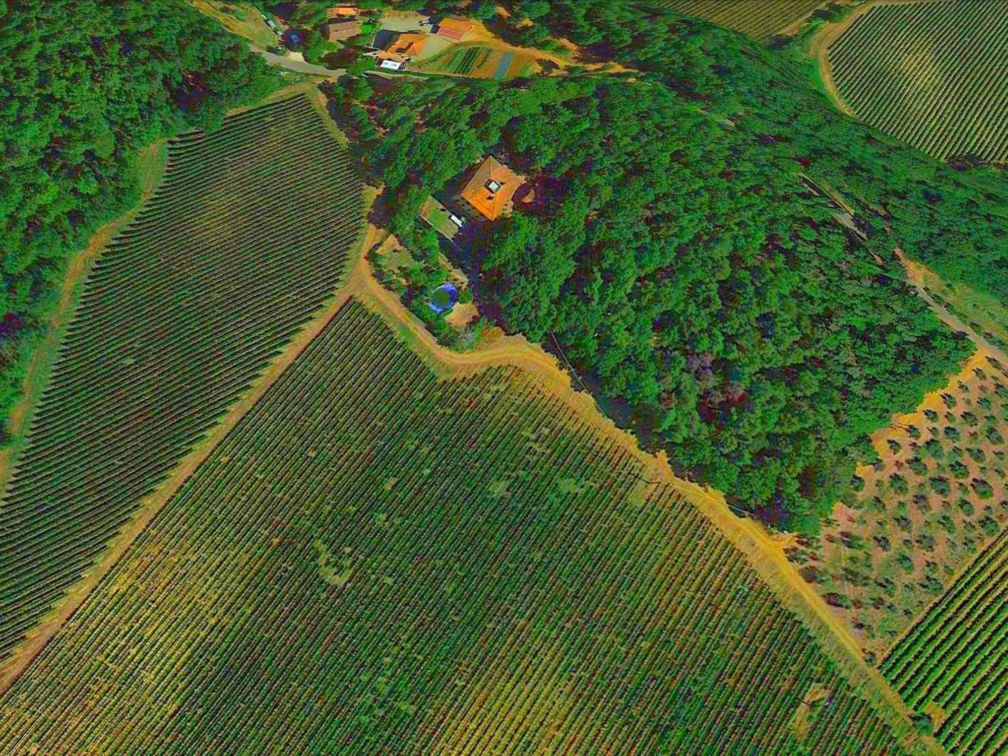 Lovely Holiday Home In Montefiridolfi With Hill View Exterior photo